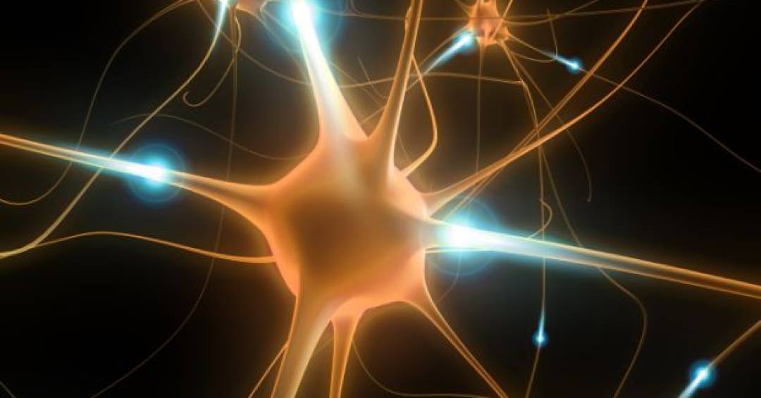 o-novo-modelo-para-estudar-a-doenca-de-parkinson