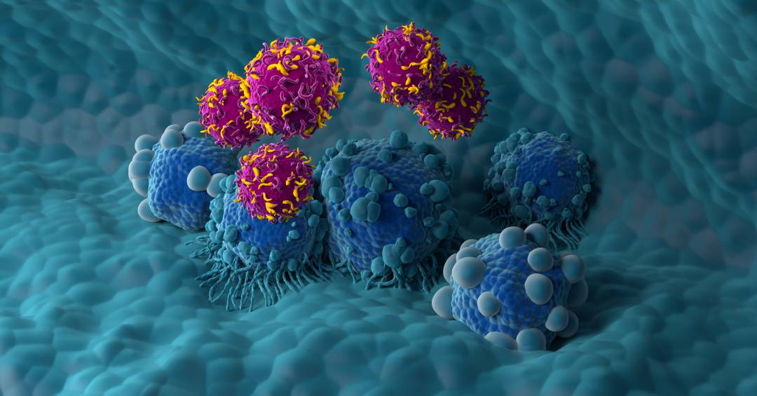 tao-perto-e-tao-longe:-avancos-e-desafios-na-fronteira-contra-o-cancer