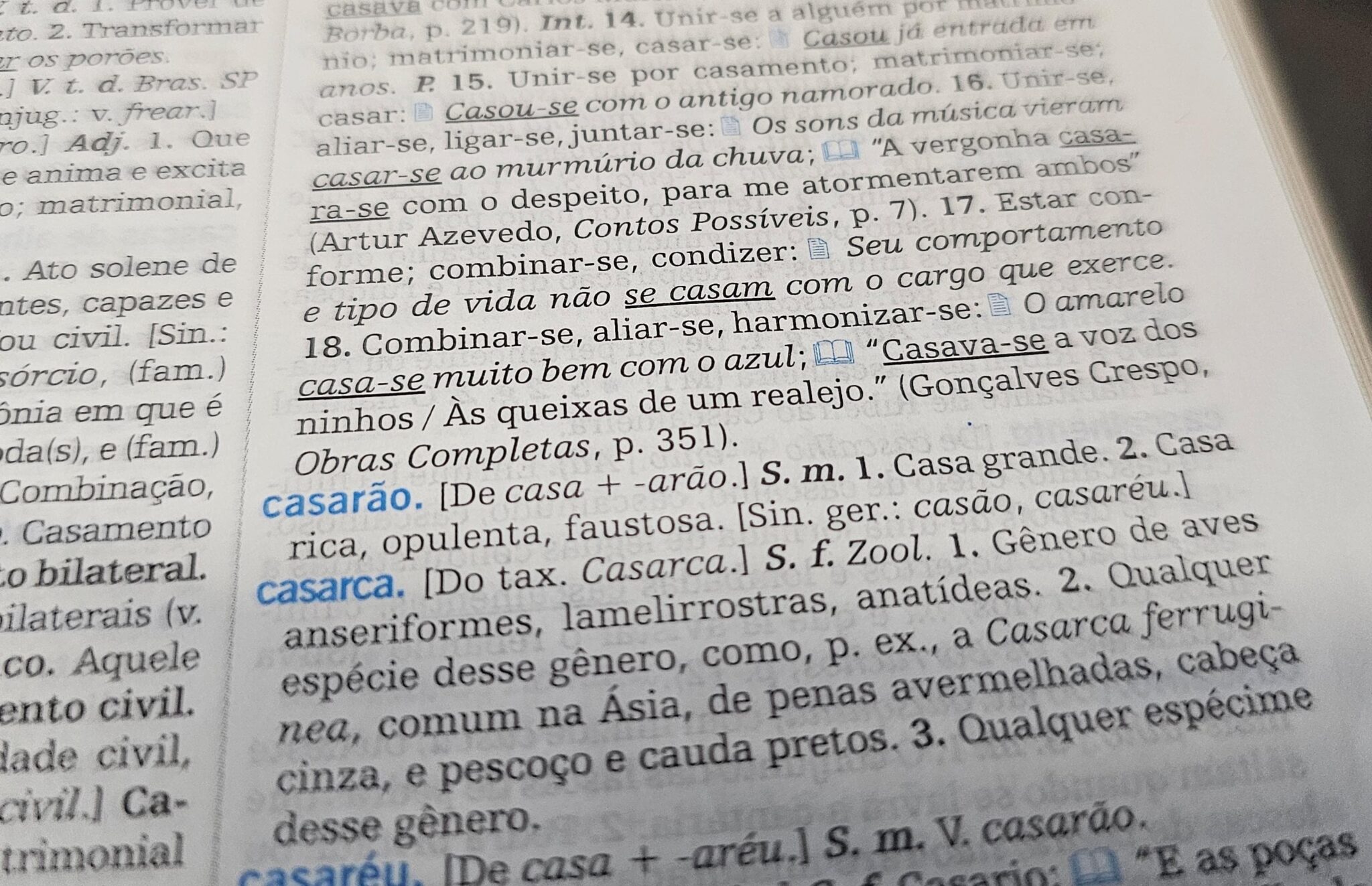 aumentativos-‘incomuns’-de-cao,-gato-e-nariz-viralizam;-voce-acertaria?-faca-o-quiz-e-descubra