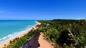 o-que-ja-existia-no-brasil-antes-de-1500?-milho,-cavalo,-cafe?-faca-quiz-e-‘descubra’