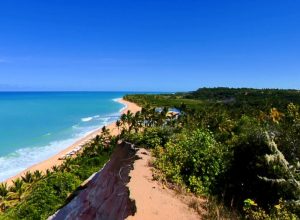 o-que-ja-existia-no-brasil-antes-de-1500?-milho,-cavalo,-cafe?-faca-quiz-e-‘descubra’