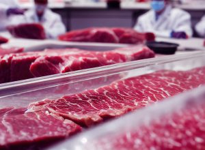 uniao-europeia-barra-importacoes-de-carne-e-produtos-de-origem-animal-do-brasil;-entenda-o-motivo