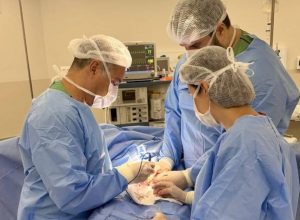 medico-brasileiro-cria-nova-tecnica-para-aumentar-a-grossura-do-penis