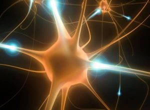 o-novo-modelo-para-estudar-a-doenca-de-parkinson