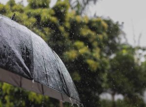 pesquisa-detecta-agrotoxicos-na-chuva-em-tres-cidades-brasileiras;-veja-quais